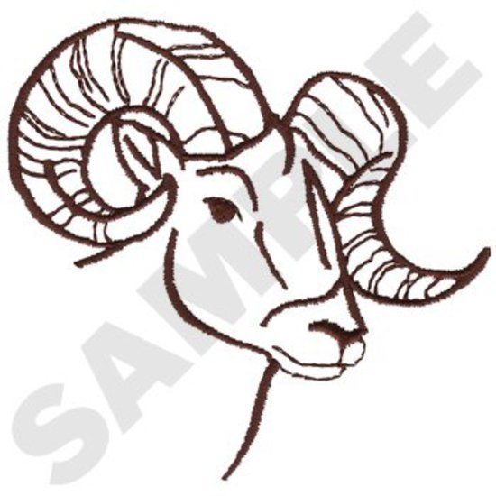 Bighorn Schafe Gliederung