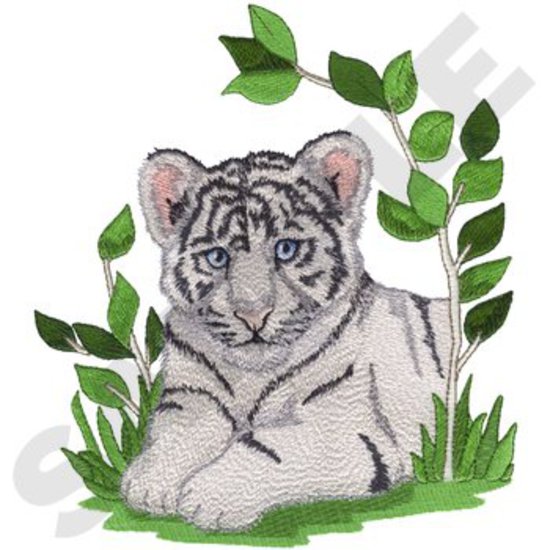 Weißer Tiger Cub