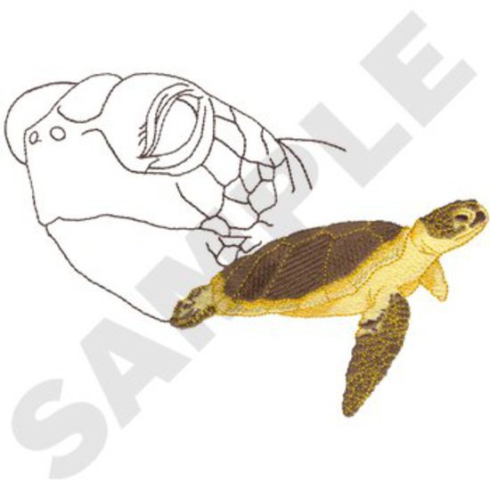 Schildkröte