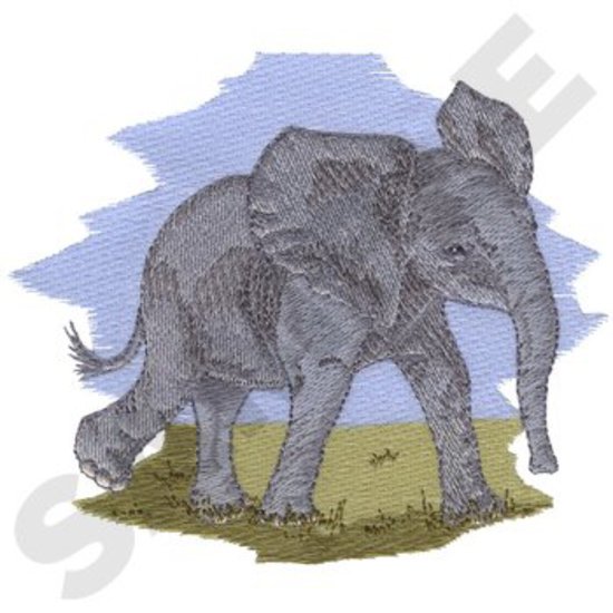 Baby Elefant