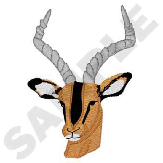 Impala Kopf