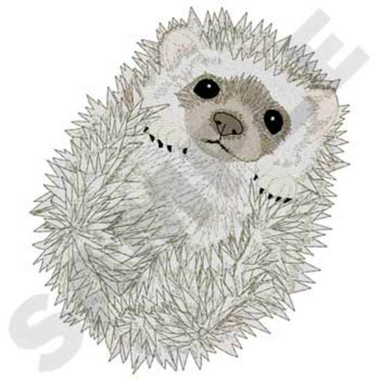 Igel