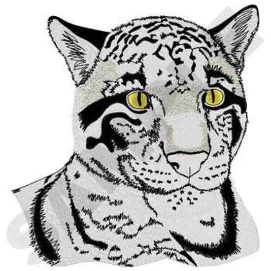 Wolkenleopard
