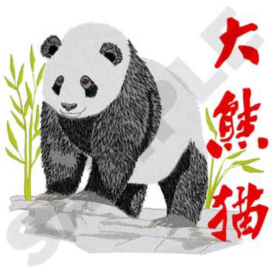 Panda