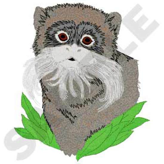 Kaiser Tamarin