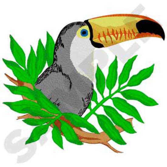 Toco Tukan