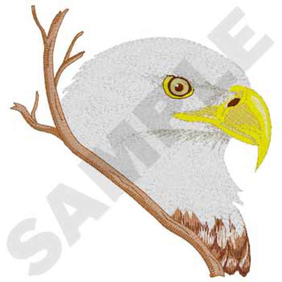 Weißkopfseeadler