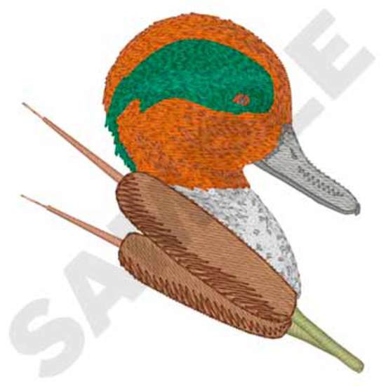 Grünflügelige Teal