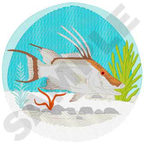 Hogfische