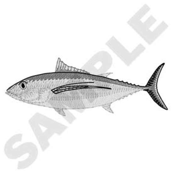 Albacore Thunfisch
