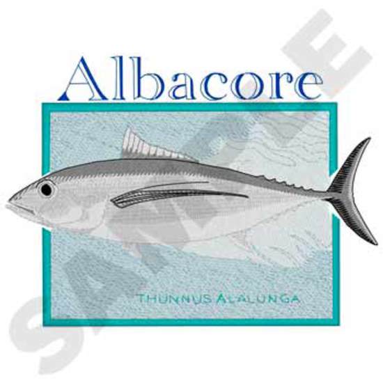 Albacore Thunfisch