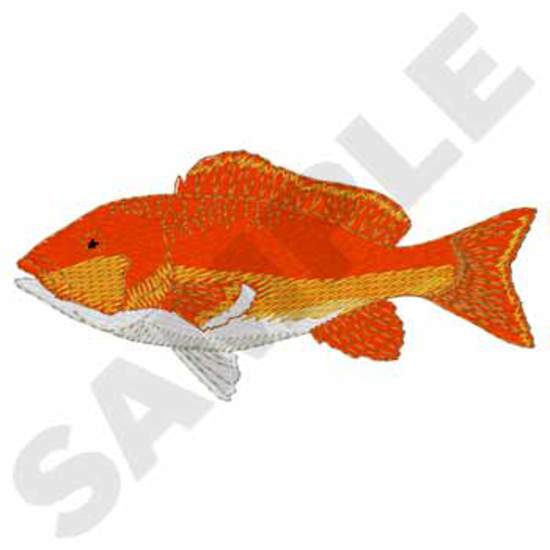 Roter Schnappfisch