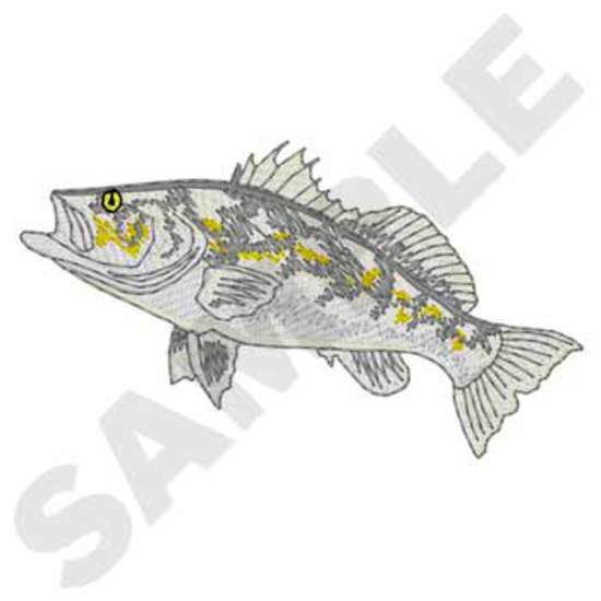 Kaliko Bass