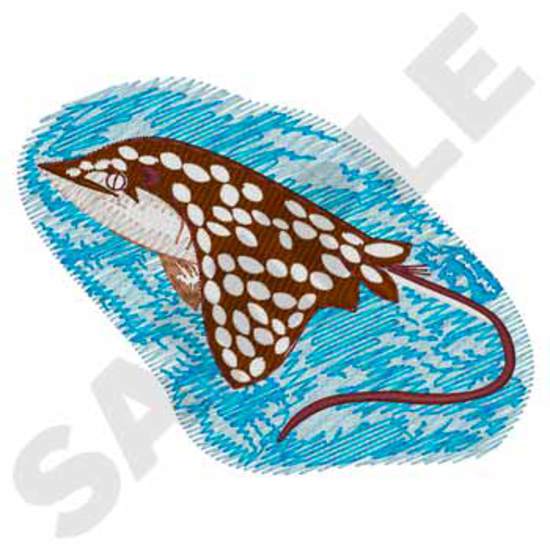 Gefleckter Adlerrochen
