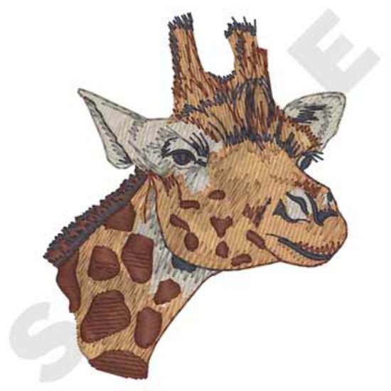 Giraffe Kopf