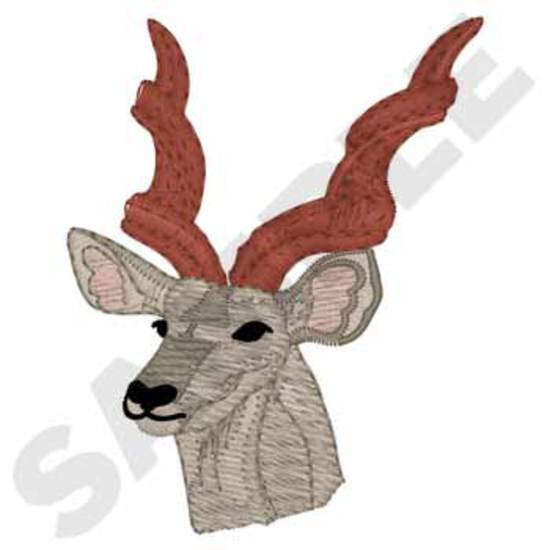 Kudu Kopf