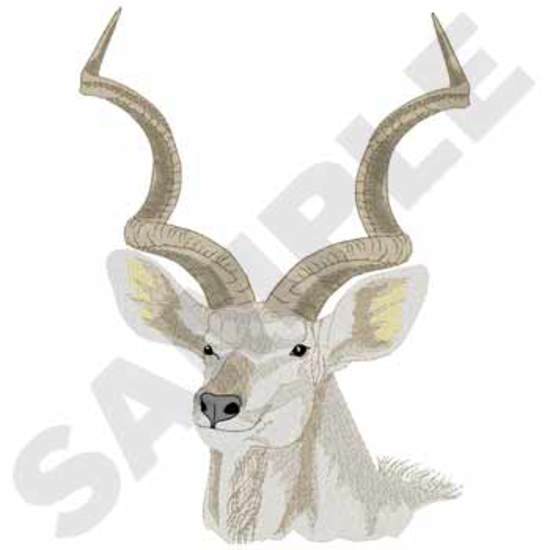 Kudu Kopf