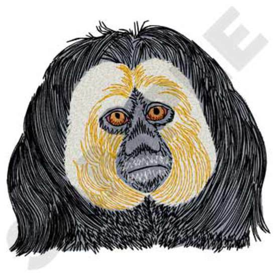 Saki-Affe