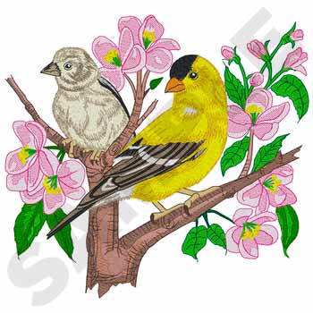 Goldfinches