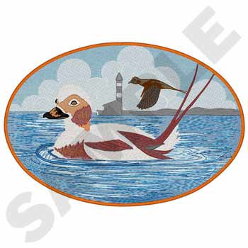 Longtail Ente