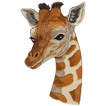 Baby Giraffe Kopf