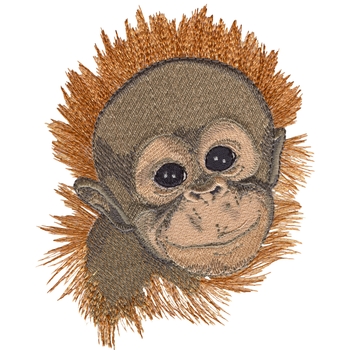 Orang-Utan