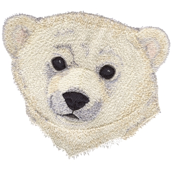 Eisbär Cub