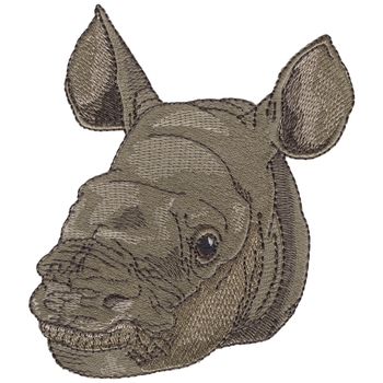 Baby-Nashorn