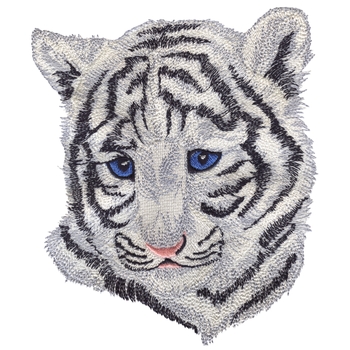 Baby-weißer Tiger-Kopf