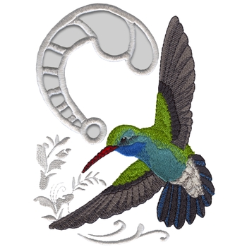 Breit berechneter Kolibri