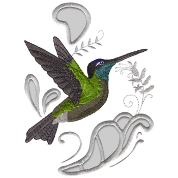 Herrlicher Kolibri