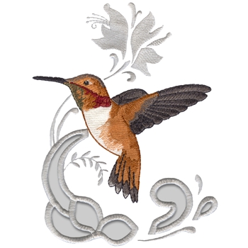 Rufous Kolibri