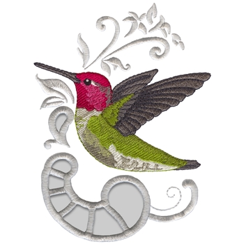 Anns Kolibri