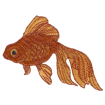 Fantail Goldfisch