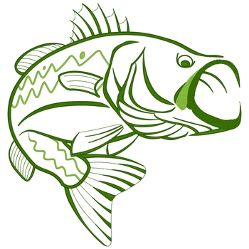 Bass