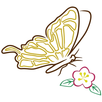 Schmetterling