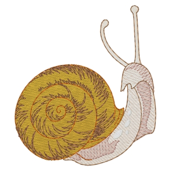 Schnecke