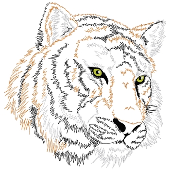 Tigerkopf