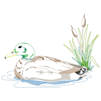 Stockente Szene