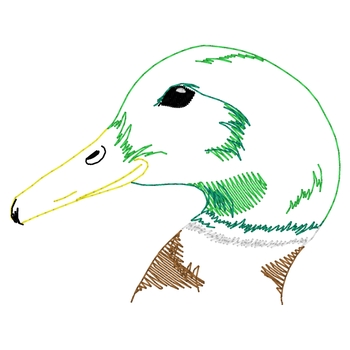 Stockente Kopf