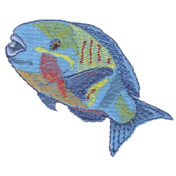 Papagei Fisch