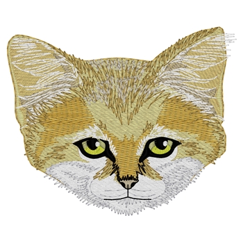 Sand Cat Kopf