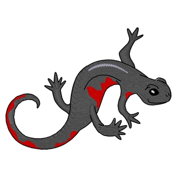 Fünfbauch Newt