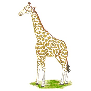 Stehende Giraffe