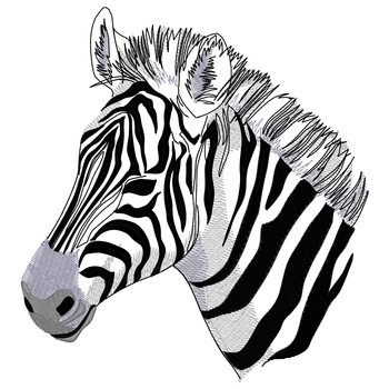 Zebra Kopf