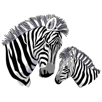 Mama & Baby Zebra