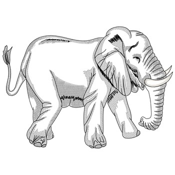 Elefant -voller Körper