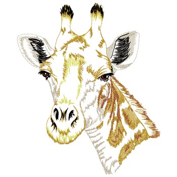 Giraffe Kopf