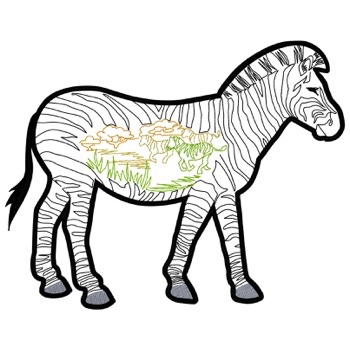 Zebra Gliederung Szene