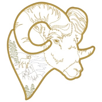 Bighorn Schafe Gliederung Szene